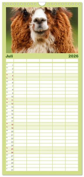 Produktbild: Familienplaner 2026 - Alpakas und Lamas mit 5 Spalten (Wandkalender, 21 x 45 cm) CALVENDO