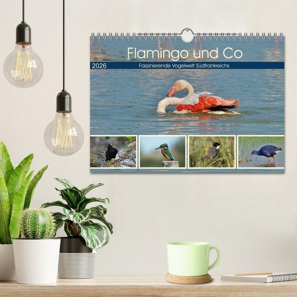 Produktbild: Flamingo und Co - Faszinierende Vogelwelt S&uuml;dfrankreichs (Wandkalender 2026 DIN A4 quer), CALVENDO Monatskalender