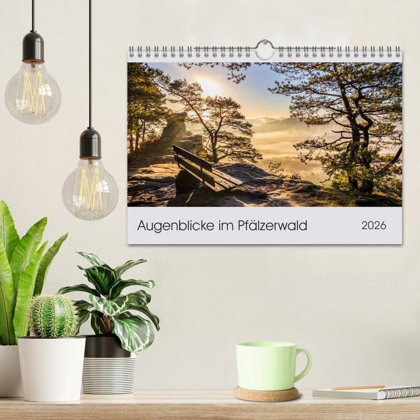 Produktbild: Augenblicke im Pf&auml;lzerwald (Wandkalender 2026 DIN A4 quer), CALVENDO Monatskalender