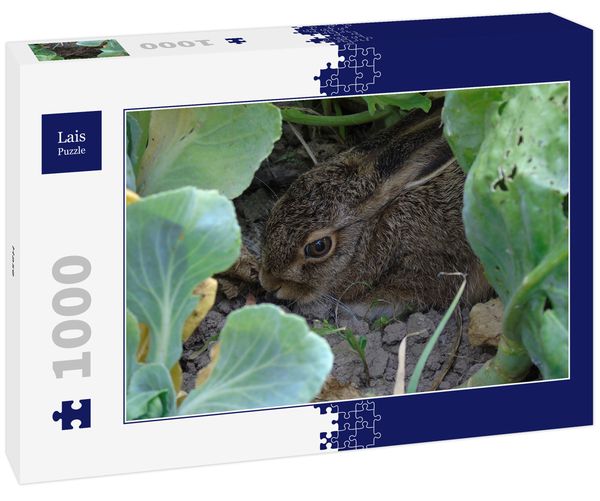 Produktbild: Lais Puzzle Hase 1000 Teile
