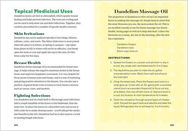 Produktbild: Dandelion Medicine, 2nd Edition
