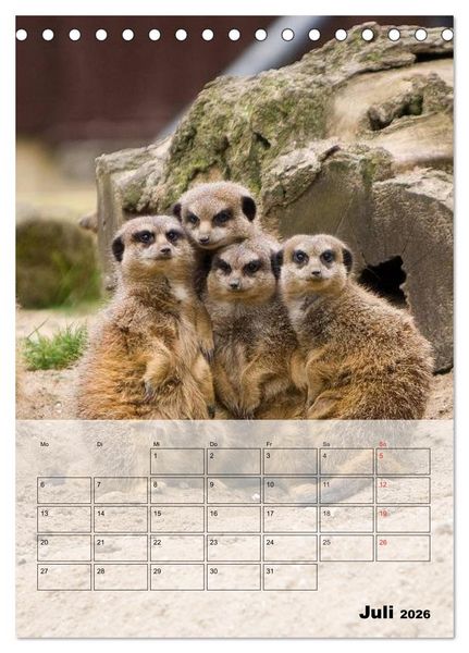 Produktbild: Erdm&auml;nnchen - Afrikas liebenswerte Zwerge (Tischkalender 2026 DIN A5 hoch), CALVENDO Monatskalender