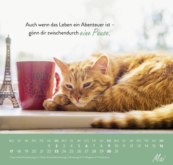 Produktbild: Wandkalender 2027: Einfach mal abh&auml;ngen