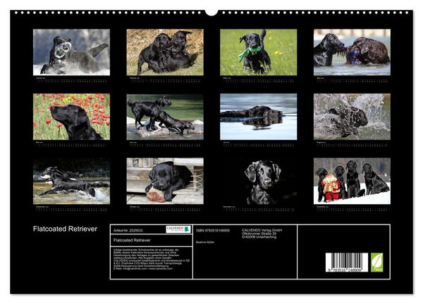 Produktbild: Flatcoated Retriever (hochwertiger Premium Wandkalender 2026 DIN A2 quer), Kunstdruck in Hochglanz