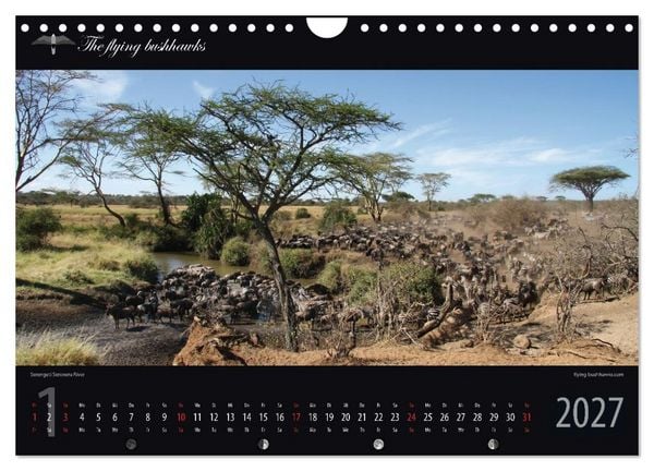 Produktbild: Tansania Blickwinkel 2027 (Wandkalender 2027 DIN A4 quer), CALVENDO Monatskalender