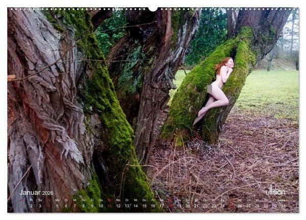 Produktbild: Lieblingsb&auml;ume - eins mit der Natur (Wandkalender 2026 DIN A2 quer), CALVENDO Monatskalender