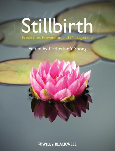 Produktbild: Stillbirth