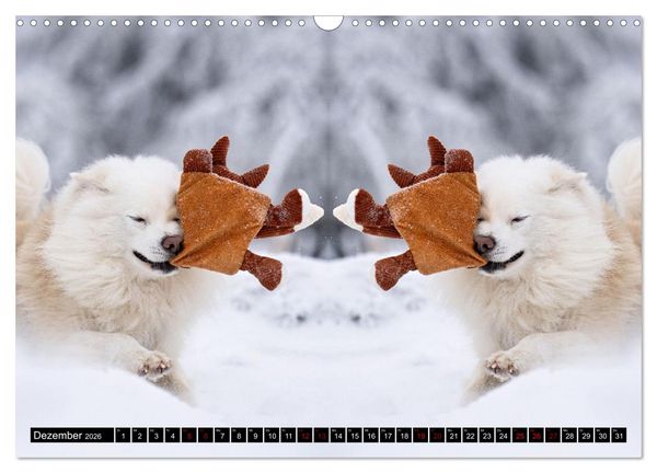 Produktbild: Mit doppelter Power durch das Jahr (Wandkalender 2026 DIN A3 quer), CALVENDO Monatskalender