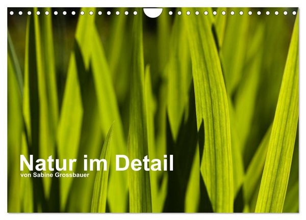 Produktbild: Natur im Detail (Wandkalender 2026 DIN A4 quer), CALVENDO Monatskalender