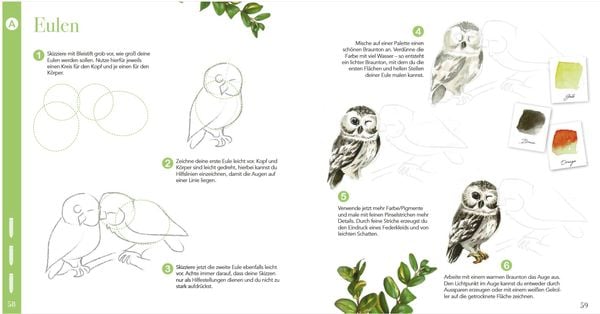 Produktbild: Das wundervolle Buch der Waldmotive