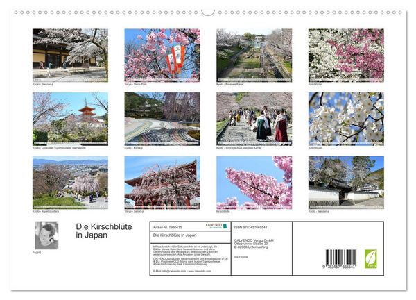 Produktbild: Die Kirschbl&uuml;te in Japan (hochwertiger Premium Wandkalender 2026 DIN A2 quer), Kunstdruck in Hochglanz
