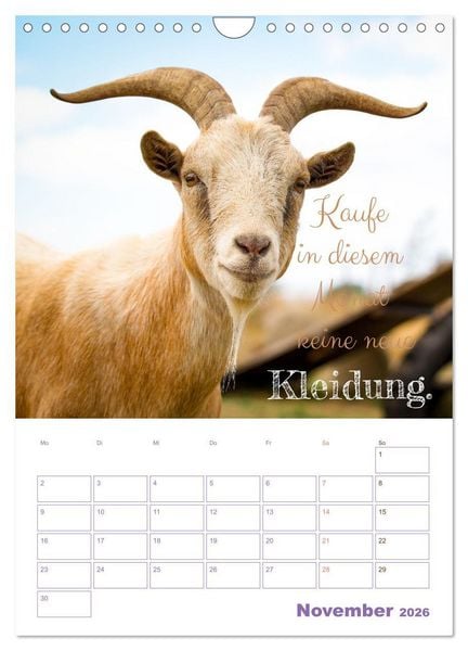 Produktbild: Tierische Challenges: F&uuml;r mehr Bewusstsein und mehr Tierschutz (Wandkalender 2026 DIN A4 hoch), CALVENDO Monatskalender
