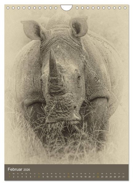 Produktbild: Afrikas Tierwelt - Sepia-Art (Wandkalender 2026 DIN A4 hoch), CALVENDO Monatskalender