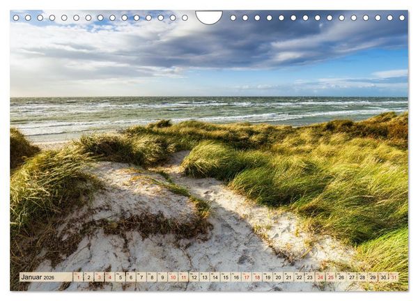 Produktbild: Fischland-Dar&szlig;-Zingst 2026 Impressionen einer Halbinsel (Wandkalender 2026 DIN A4 quer), CALVENDO Monatskalender