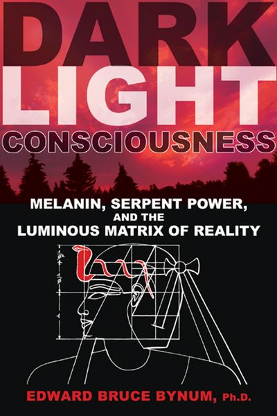Produktbild: Dark Light Consciousness
