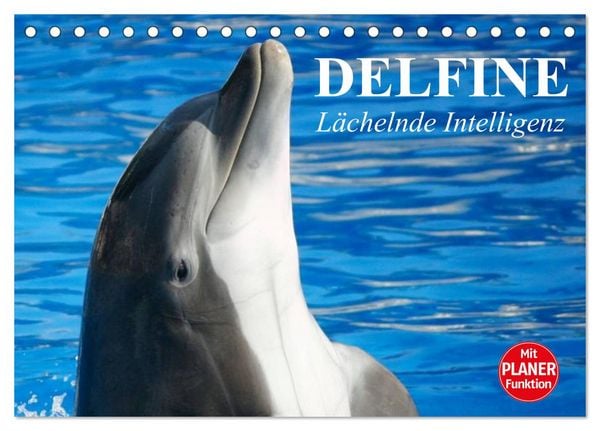 Produktbild: Delfine - L&auml;chelnde Intelligenz (Tischkalender 2026 DIN A5 quer), CALVENDO Monatskalender