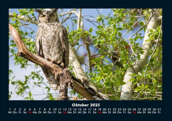 Produktbild: B&auml;ume 2025 Fotokalender DIN A4