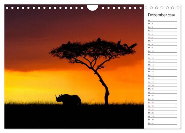 Produktbild: Emotionale Momente: Nash&ouml;rner (Wandkalender 2026 DIN A4 quer), CALVENDO Monatskalender
