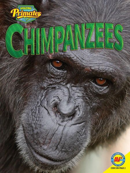 Produktbild: Chimpanzees