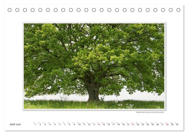 Produktbild: Emotionale Momente: Altenkirchen - der lebenswerte Landkreis im Norden des Westerwaldes. (Tischkalender 2026 DIN A5 quer), CALVENDO Monatskalender