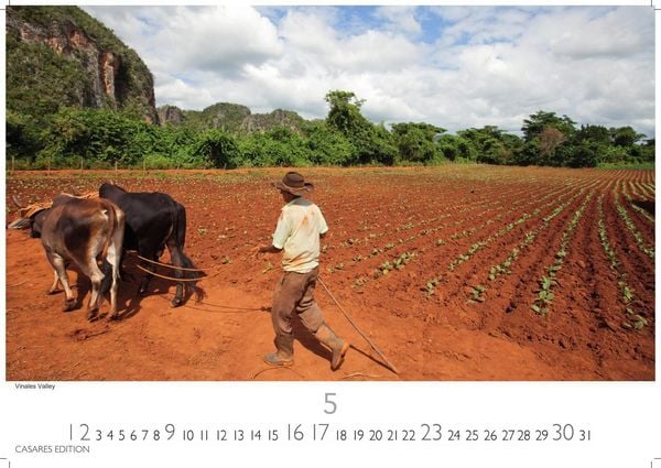 Produktbild: Cuba Kalender 2027 &ndash; Wandkalender | Fotokalender Karibik 35x50cm &ndash; Farbenfroher mit beeindruckenden Kuba-Motiven, perfekte Deko & Geschenkidee