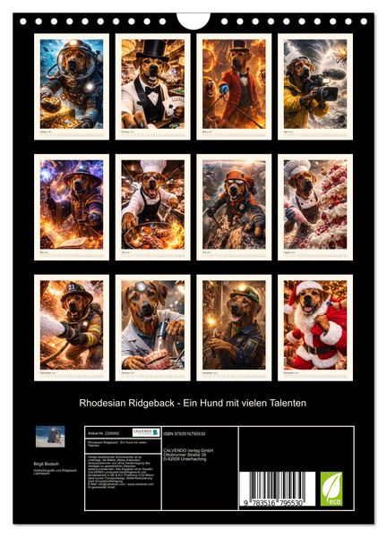 Produktbild: Rhodesian Ridgeback - Ein Hund mit vielen Talenten (Wandkalender 2027 DIN A4 hoch), CALVENDO Monatskalender