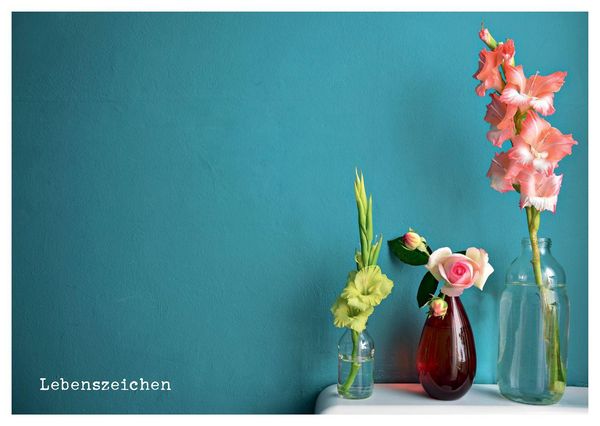 Produktbild: von Herzen - Postkartenbuch