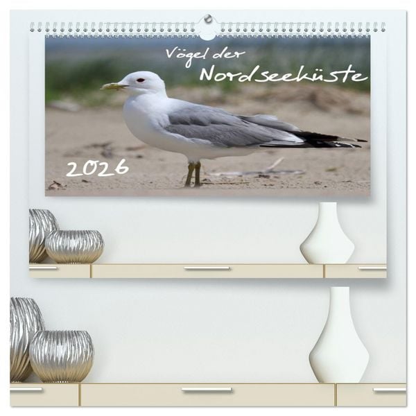 Produktbild: V&ouml;gel der Nordseek&uuml;ste (hochwertiger Premium Wandkalender 2026 DIN A2 quer), Kunstdruck in Hochglanz