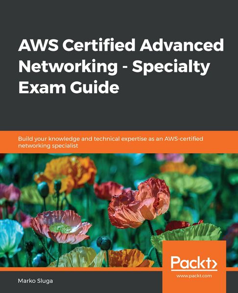 Produktbild: AWS Certified Advanced Networking - Specialty Exam Guide