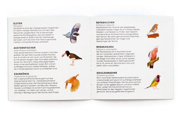 Produktbild: Finde den Vogel