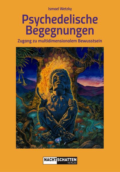 Produktbild: Psychedelische Begegnungen