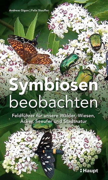 Produktbild: Symbiosen beobachten