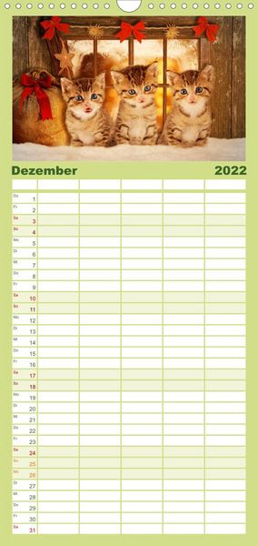 Produktbild: Familienplaner K&auml;tzchen 2022 (Wandkalender 2022 , 21 cm x 45 cm, hoch)