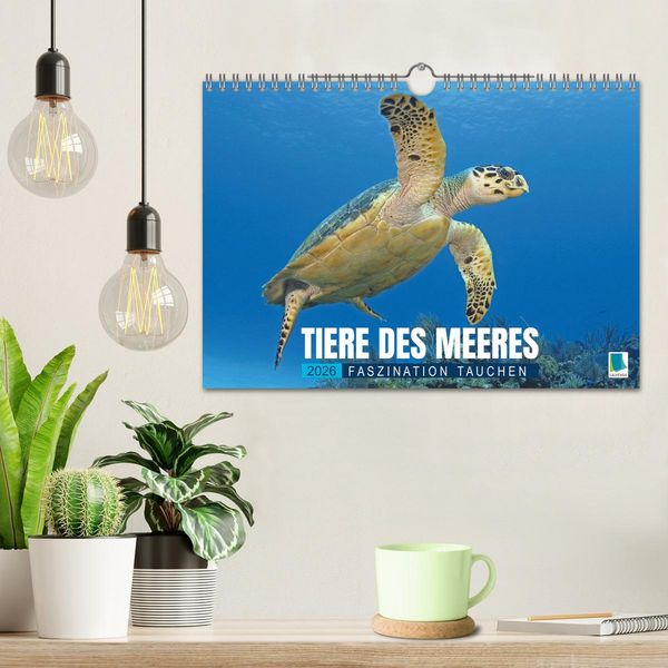 Produktbild: Tiere des Meeres: Faszination Tauchen (Wandkalender 2026 DIN A4 quer), CALVENDO Monatskalender