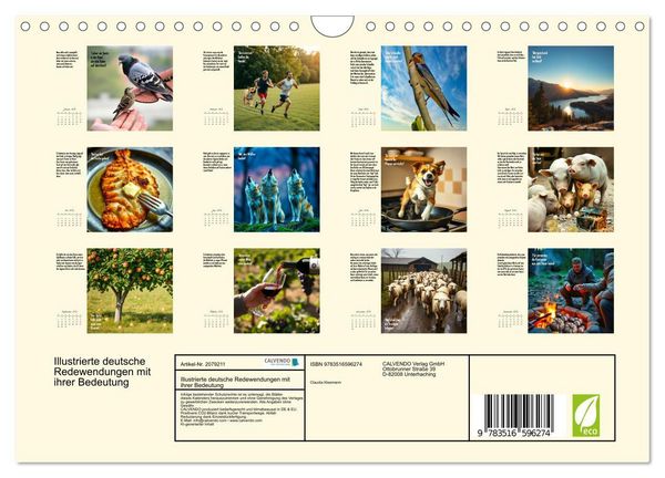 Produktbild: Illustrierte deutsche Redewendungen mit ihrer Bedeutung (Wandkalender 2026 DIN A4 quer), CALVENDO Monatskalender