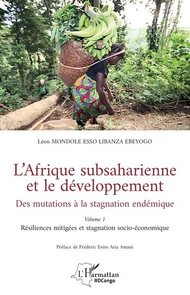 Produktbild: L'Afrique subsaharienne et le d&eacute;veloppement