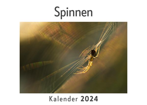 Produktbild: Spinnen (Wandkalender 2024, Kalender DIN A4 quer, Monatskalender im Querformat mit Kalendarium, Das perfekte Geschenk)