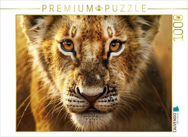 "CALVENDO Puzzle Ein Motiv aus dem Kalender ""Wenn die wilden Katzen leise durch ihr Revier streifen"" | 1000 Teile Lege-Größe 64x48cm Foto-Puzzle für glückliche Stunden"