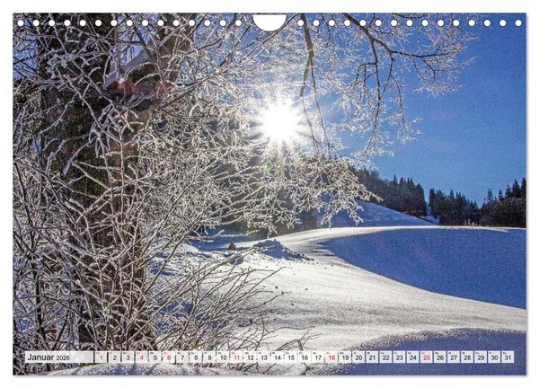 Produktbild: Gr&uuml;&szlig;e aus Unken (Wandkalender 2026 DIN A4 quer), CALVENDO Monatskalender
