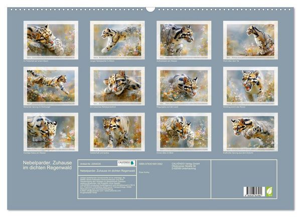 Produktbild: Nebelparder. Zuhause im dichten Regenwald (Wandkalender 2027 DIN A2 quer), CALVENDO Monatskalender