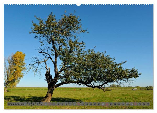 Produktbild: Der Niederrhein im Wandel der Jahreszeiten (Wandkalender 2026 DIN A2 quer), CALVENDO Monatskalender