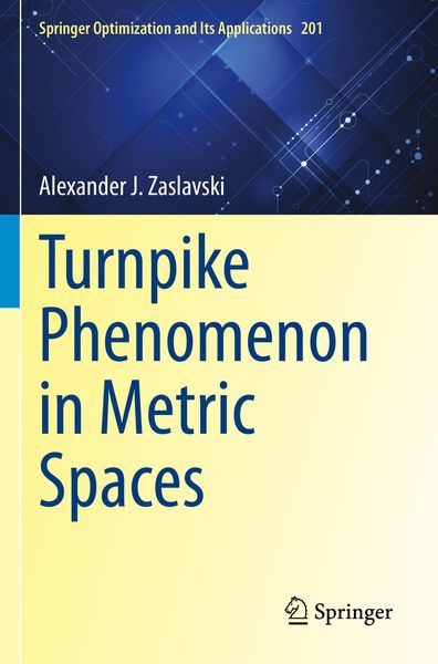 Produktbild: Turnpike Phenomenon in Metric Spaces