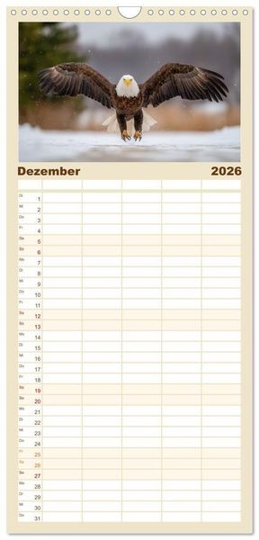 Produktbild: Familienplaner 2026 - Majest&auml;tische Wei&szlig;kopfseeadler - Der K&ouml;nig der L&uuml;fte mit 5 Spalten (Wandkalender, 21 x 45 cm) CALVENDO