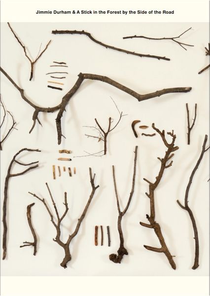 Produktbild: Jimmie Durham & A Stick in the Forest by the Side of the Road Series (vol.1-12)