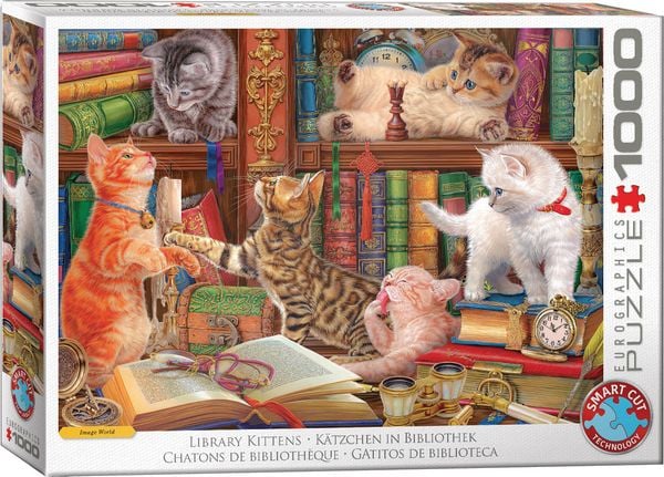 Produktbild: K&auml;tzchen in Bibliothek