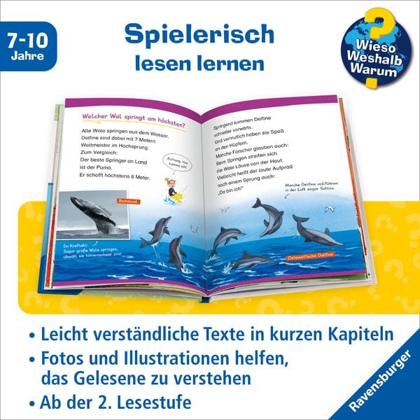 Produktbild: Wieso? Weshalb? Warum? Erstleser, Band 3 - Wale und Delfine