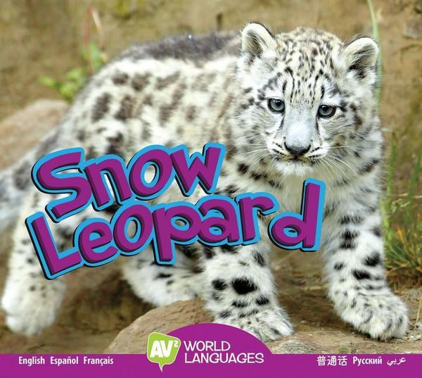 Produktbild: Snow Leopard