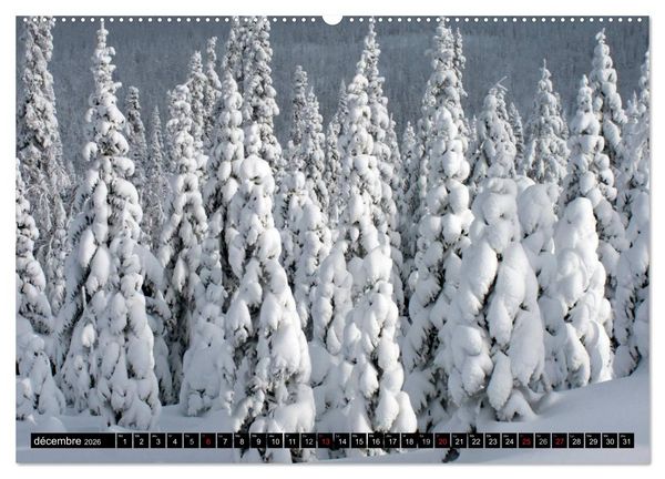 Produktbild: GASP&Eacute;SIE. Parc National du Qu&eacute;bec (Calendrier mural 2026 DIN A2 vertical) calendrier de bureau