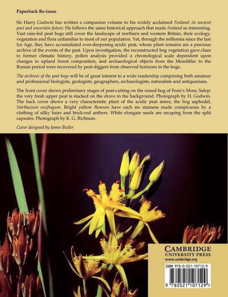 Produktbild: The Archives of Peat Bogs