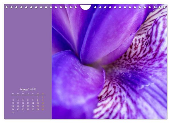 Produktbild: Bl&uuml;tenstil (Wandkalender 2026 DIN A4 quer), CALVENDO Monatskalender